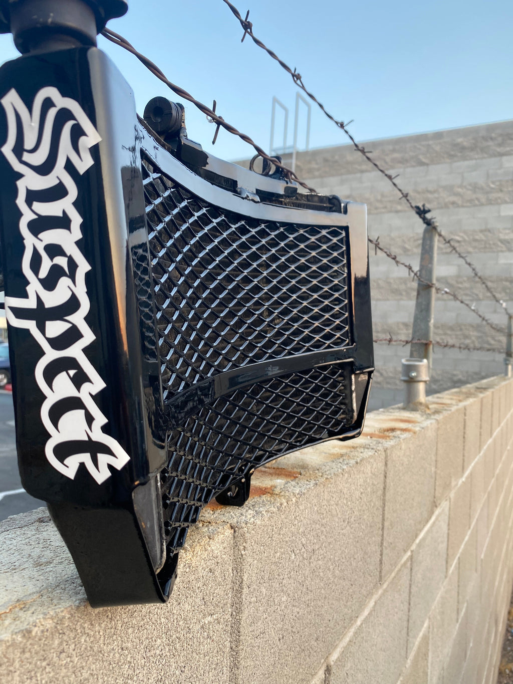 01-06 Honda F4i Radiator Cage