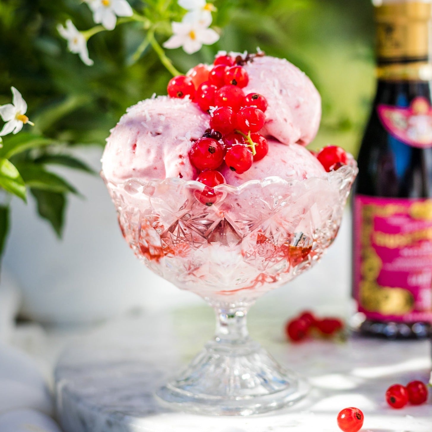 Condiment with Balsamic Vinegar of Modena and Raspberry