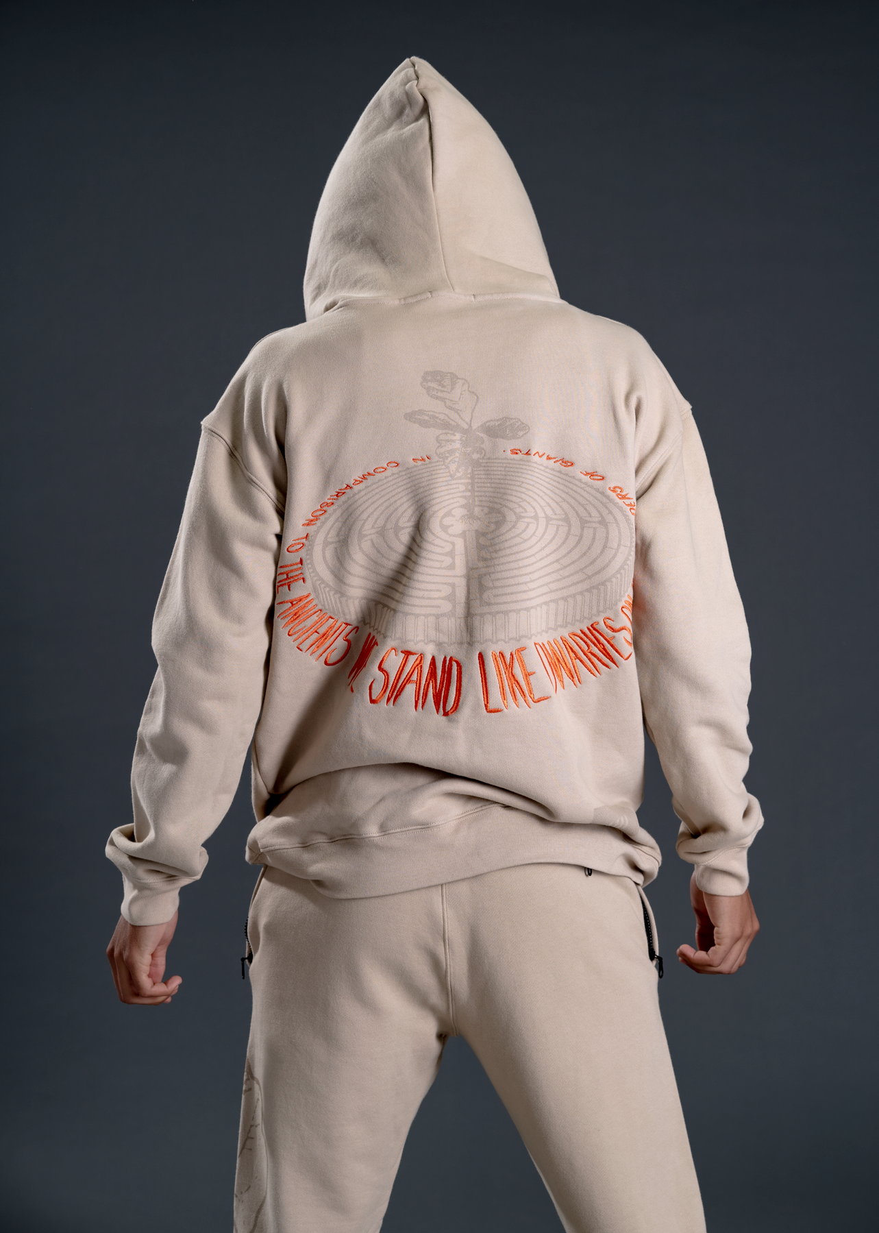 Labyrinth Hoodie
