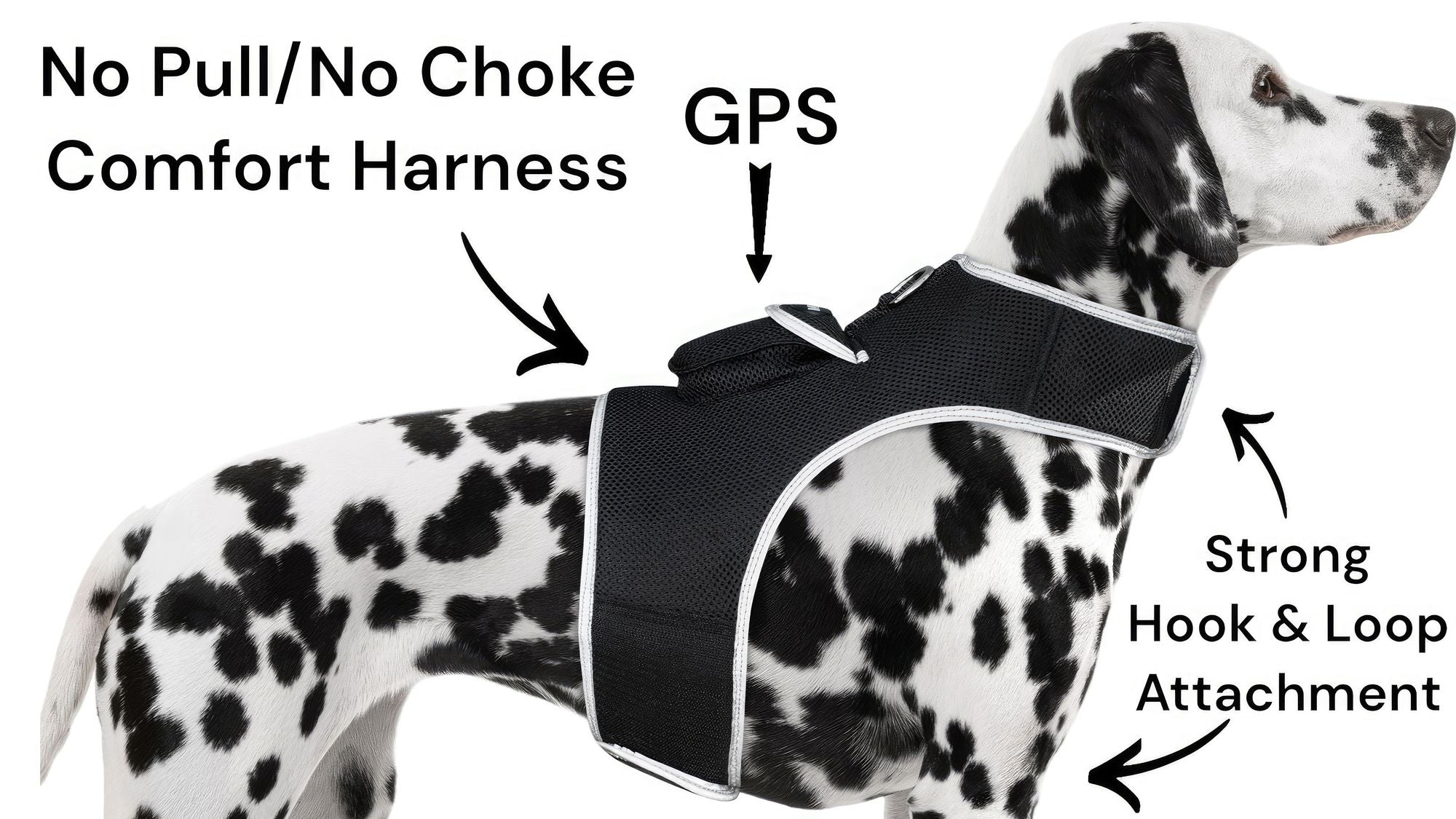 Waterproof Collar Mount Tracker Realtime GPS GSM Puppy Tracking Device Size:L