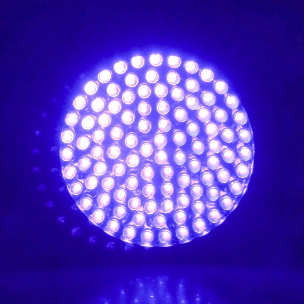 UV Ultraviolet Light 100 LED Flashlight BlackLight 395nM Inspection Lamp Torch