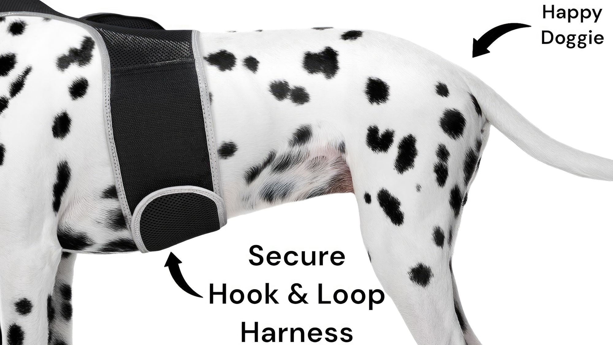 GSM GPS Animal Tracker Collar Attached Rechargeable Realtime Surveillance Gadget Size:XXL