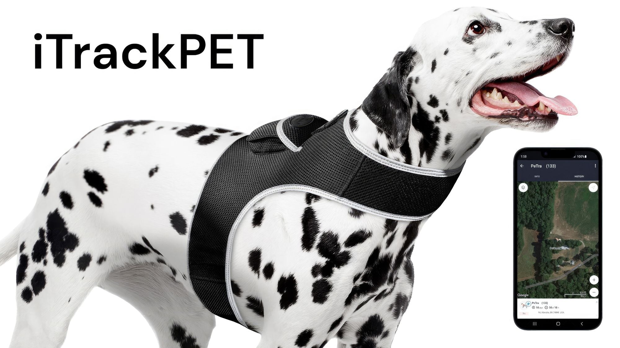 Pet Realtime Surveillance w/ Pet Tracker GPS Tracking Chip for Dogs + App Size:M