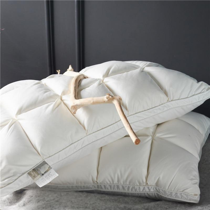 Giancarlo Goose Down Filling Pillows Set of 2