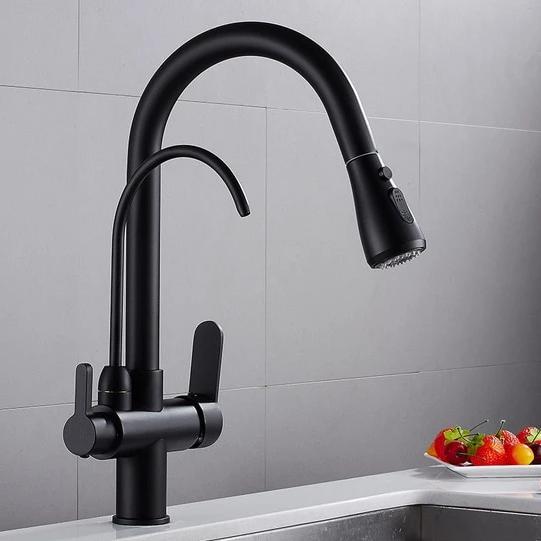 Werner Swivel Spout Pull-Down Single-Hole Dual Handle Kitchen Sink Faucet With Filter
