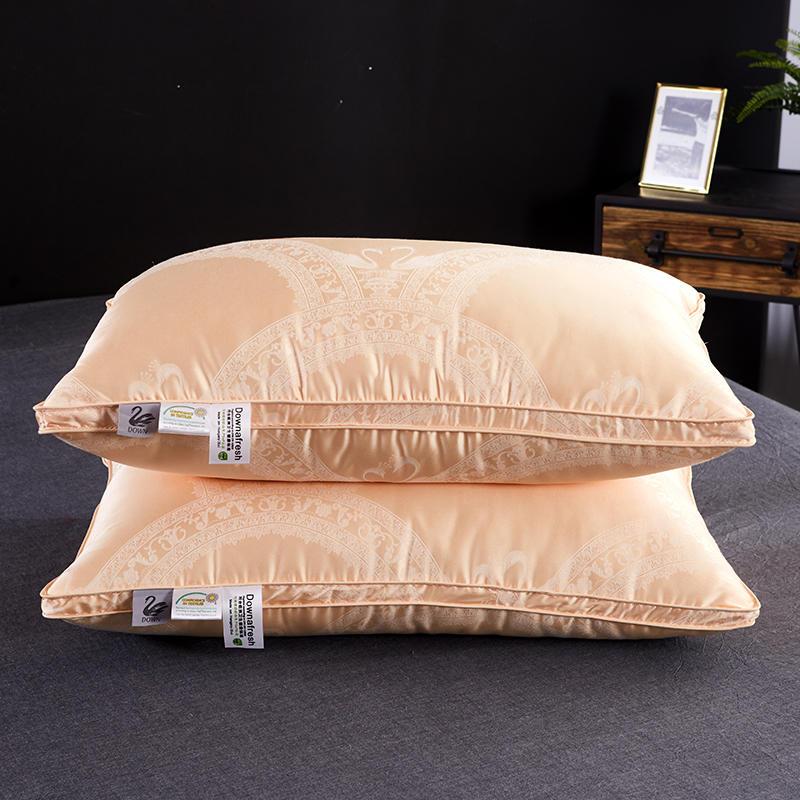 Vincenzo Pillows Set of 2 Goose Down