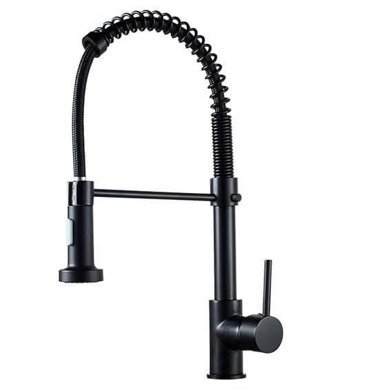 Johannes Swivel Spout Pull-Down Single-Hole Kitchen Sink Faucet